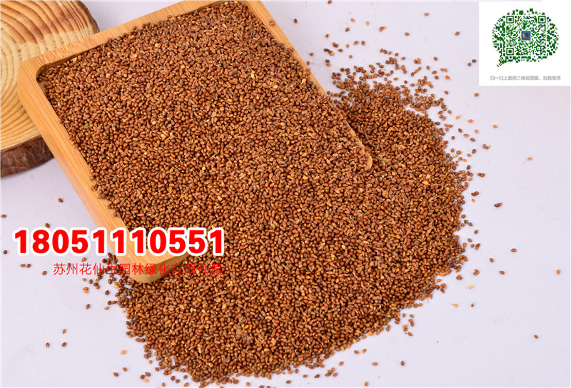 l|ϻضNӡ_ղ˹սշNӏSֱN