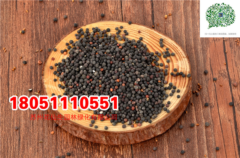 l|ɫMǷNŮ{ѹӢNӏSֱN