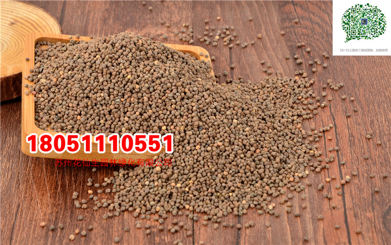 l|NӌĈDƬSֱNţmѹӢN