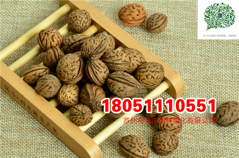 l(f)(yu)|(zh)ɽҷNӮ(dng)²ɷN(sh)ĈDƬSֱNr(ji)