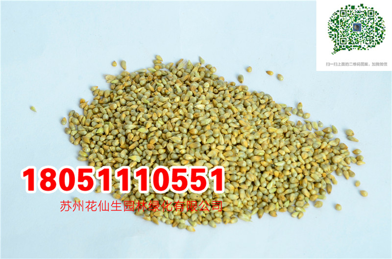 l|βݷNӹβݺݷNĈDƬSֱN