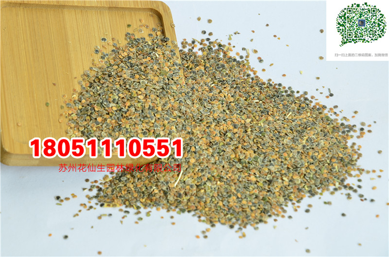 l|_mNӮ²ɷNĈDƬSֱNr