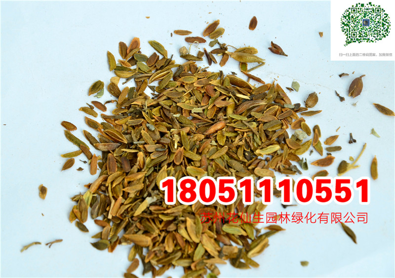 l(f)(yu)|(zh)϶NӮ(dng)²ɷN(sh)ĈDƬS(chng)ֱN(xio)r(ji)