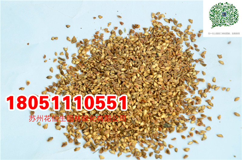 l(f)(yu)|(zh)~ɷNӮ(dng)²ɷNĈDƬSֱNr