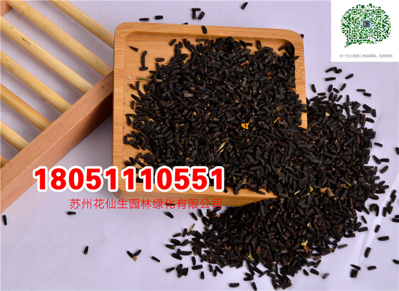 l|շNӮ²ɷNĈDƬSֱNr