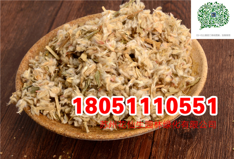 l|ǧռtNӮ²ɷNĈDƬSֱNr