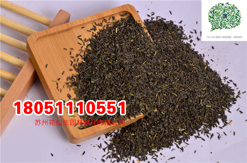 l|ĿշNӮ²ɷNĈDƬSֱNr