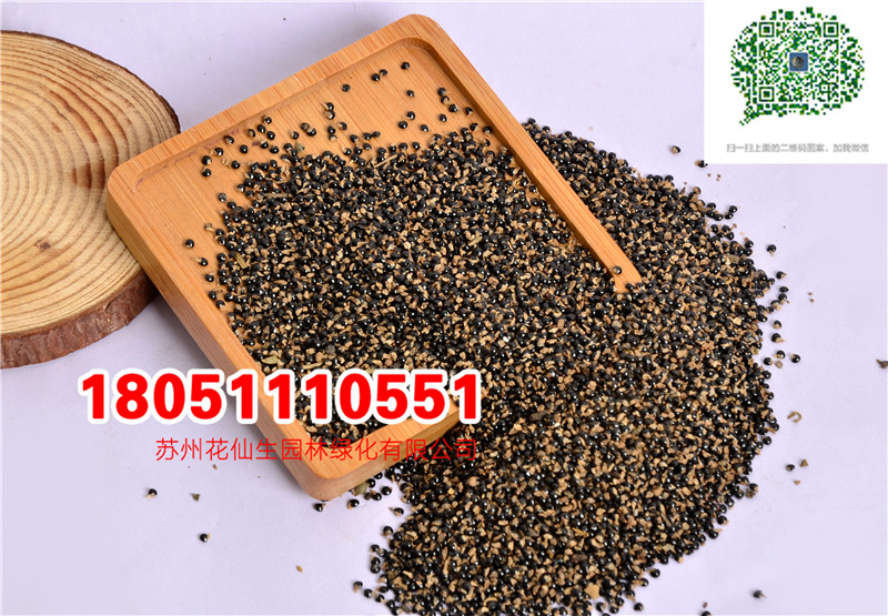 l|ϻضNӮ²ɷNĈDƬSֱNr