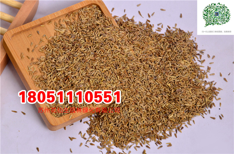 l|շNӮ²ɷNĈDƬSֱNr