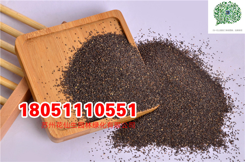 l|ɫŮѷNӮ²ɷNĈDƬSֱNr