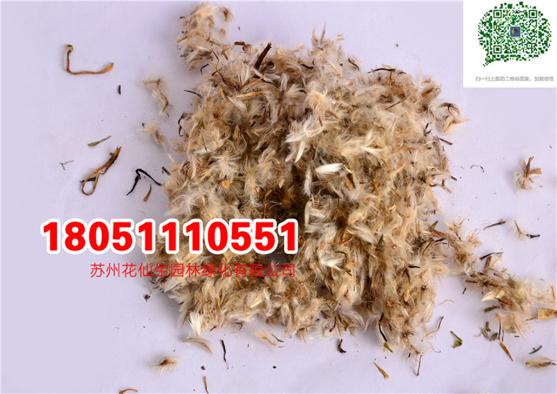 l|¾շNӮ²ɷNĈDƬSֱNr