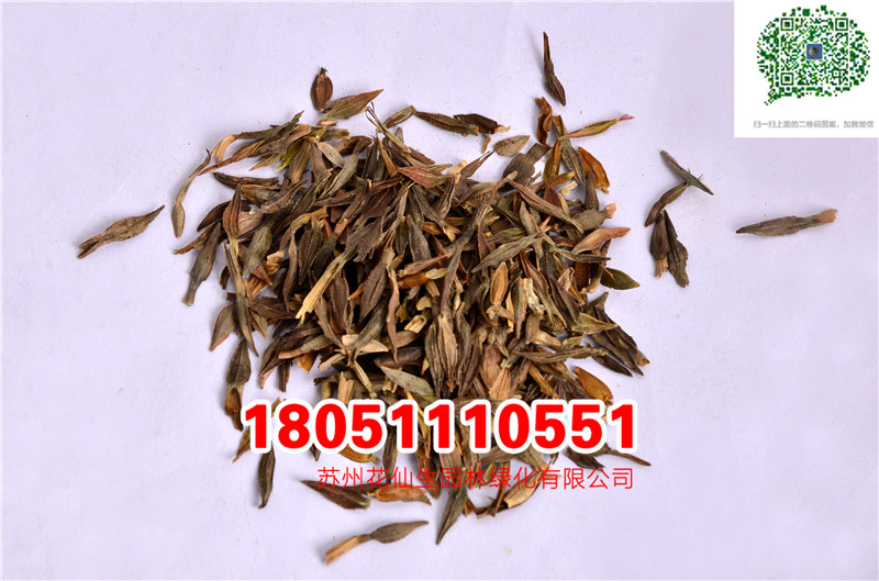 l|U󻨰ղݷNӮ²ɷNĈDƬSֱNr