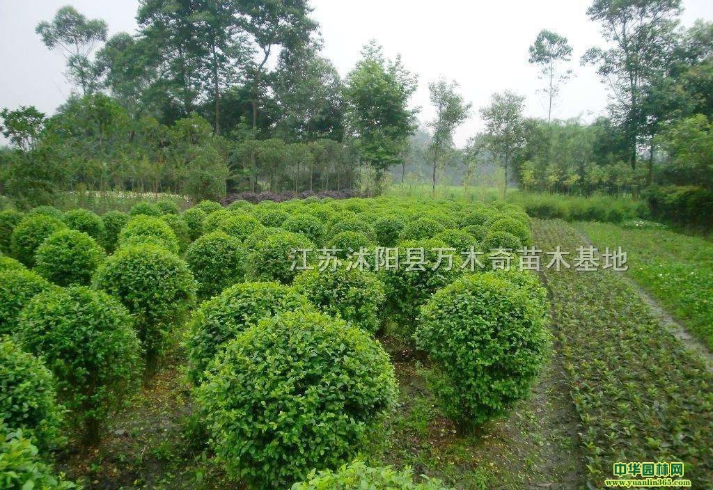 С~Ůؑ硢С~ŮؑС~Ůؑ2-5