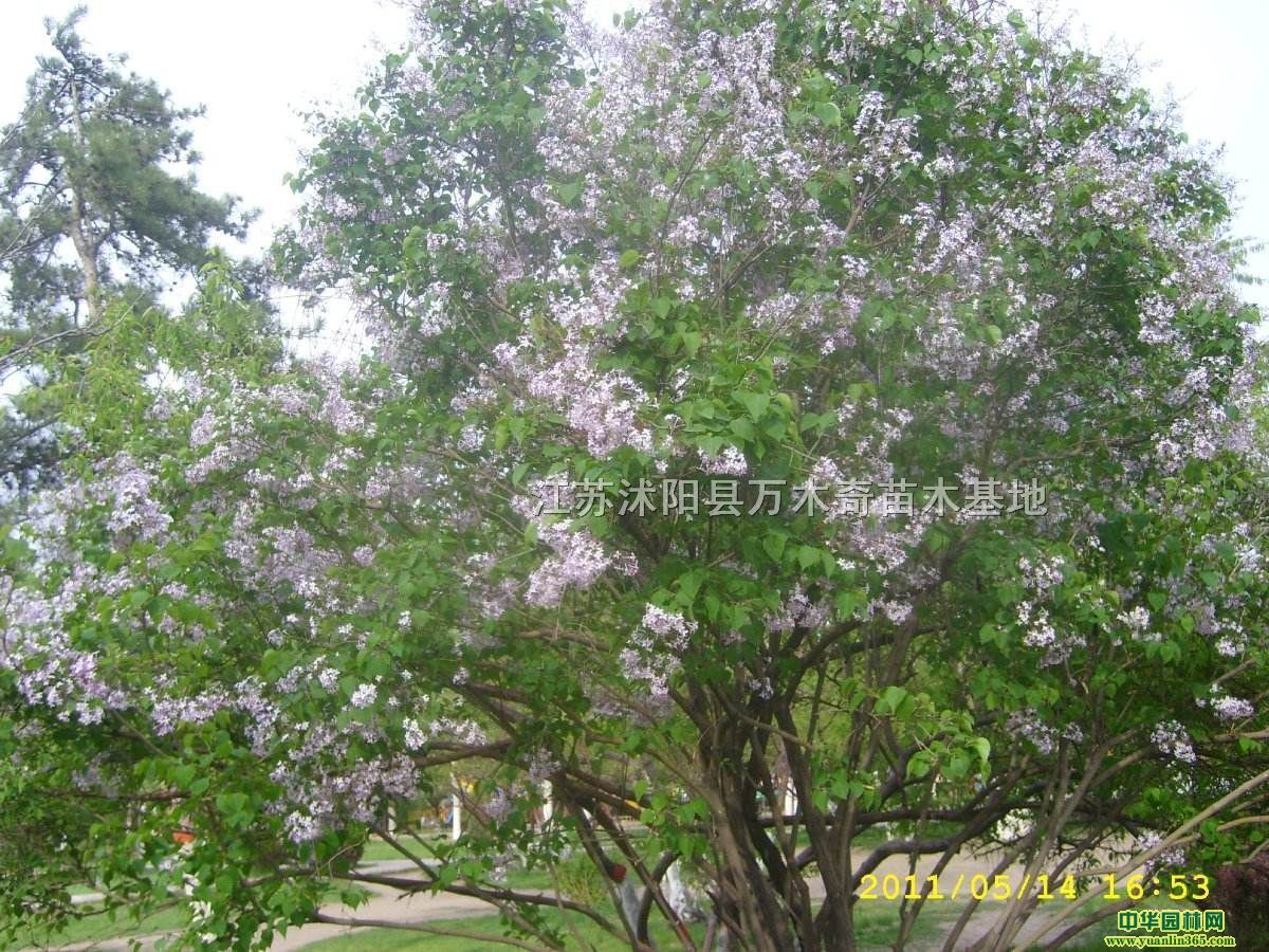 㡢ߗU㡢㡢硢Ȇ̹ľ