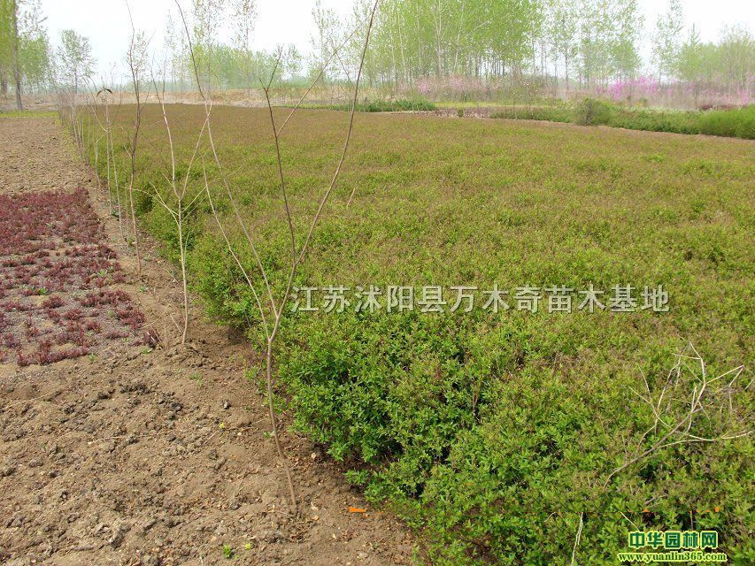 ~Ůؑ~Sʯz|l(wi)ìˮϞȹľ