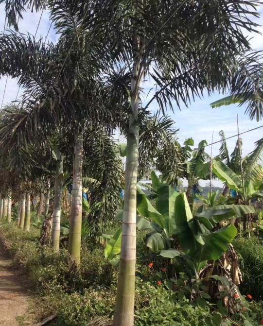 βҬˡβҬӵЈβҬ