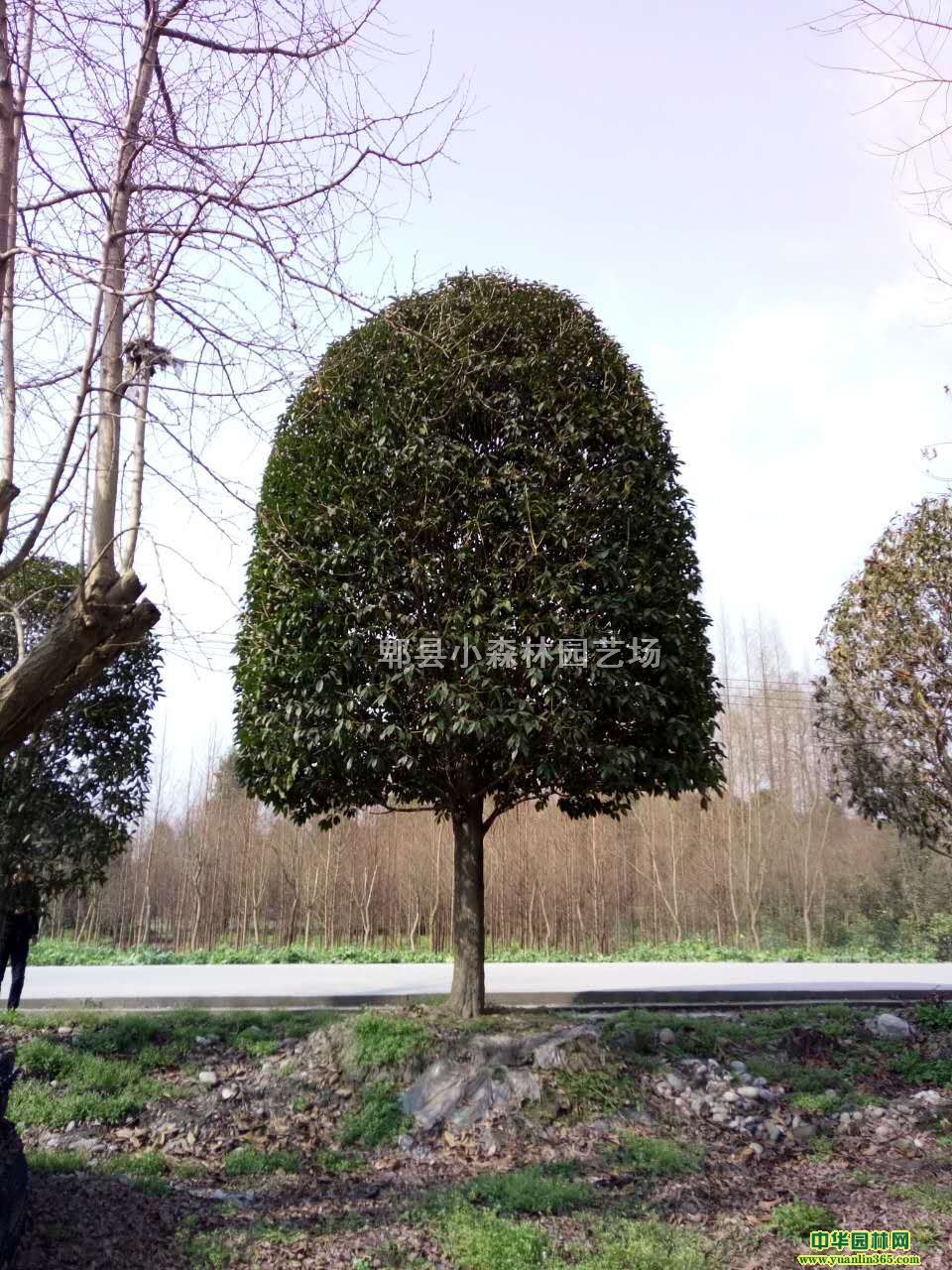 ĴɶƷ¹𡢵ɰ𡢽𡢸ߗU