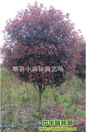 t~ʯ骻ءt~ʯ骱硢t~ʯ򡢼t~ʯʯ骘