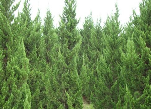 شСҎءС硢؈DƬػء؃r