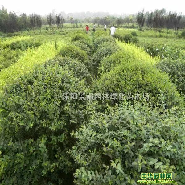 lС~ŮؑС硢С~ŮؑС~Ůؑ͘