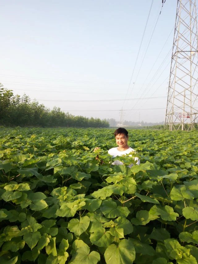 Ͻz鱡鱘(sh)(sh)ءն