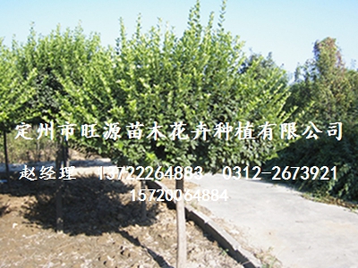 ߽l(wi)ì򡢺ӱԴ߽l(wi)ì