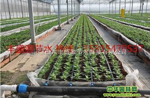 ػԌmʽιϻι|Ԍmιr͡|