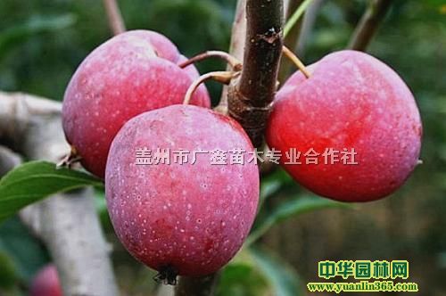 uĹ硢ͺuĹ(sh)硢ۼ޽uO(png)