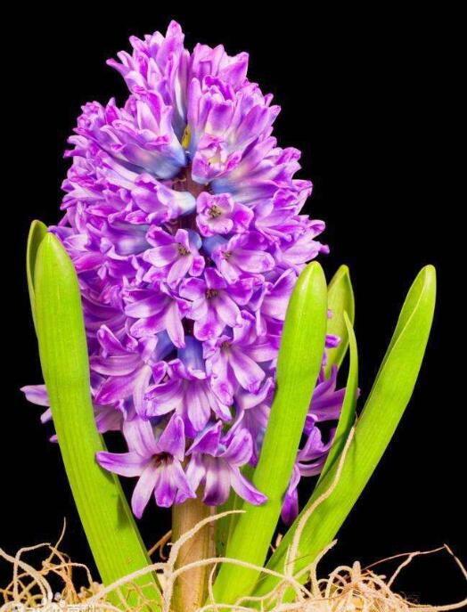 mL㡢a피ttٺϷNf