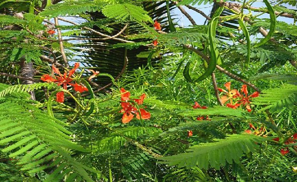 PľNӡP˷Nӡt麷NӡP˘䡢qN