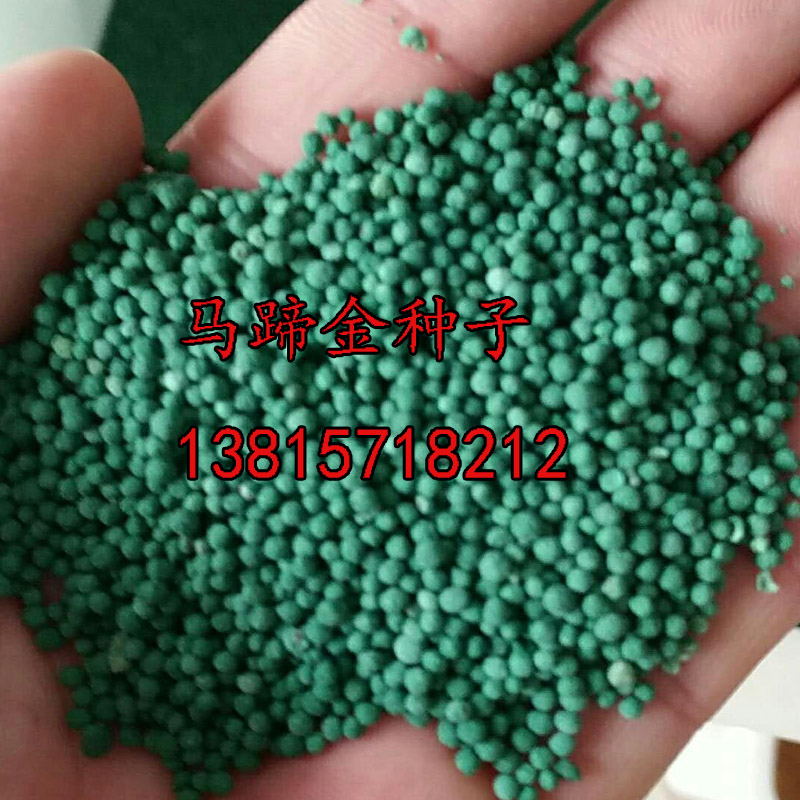 Y|ݷNӰ~NӼt~NRNuôNֲ