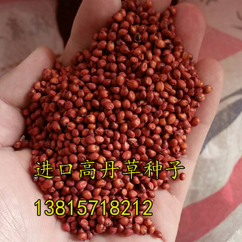 иߵݡһa١һҪNֲٽN