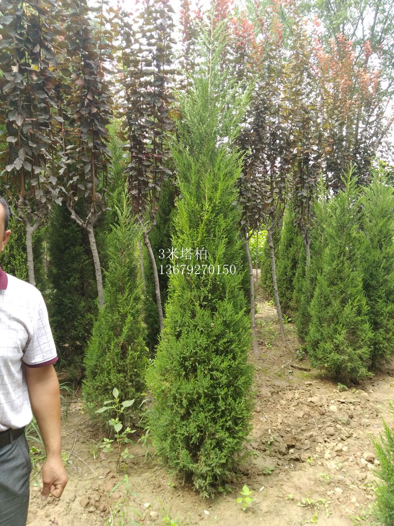 3@3؃r(ji)@3(bo)r(ji)@ػ