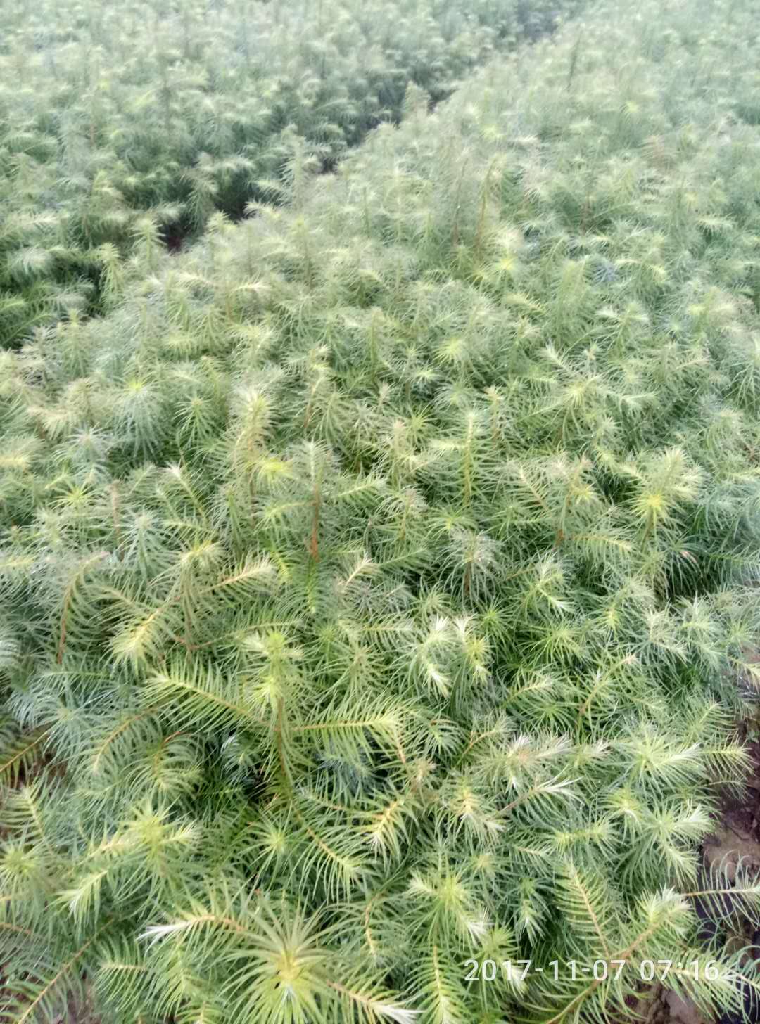 µɼ硢tɼ硢ɽtɼ硢ɼl