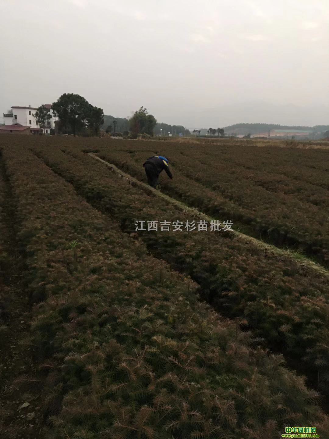 ɽtɼɽtɼ硢ɽtɼl(f)ɽtɼ