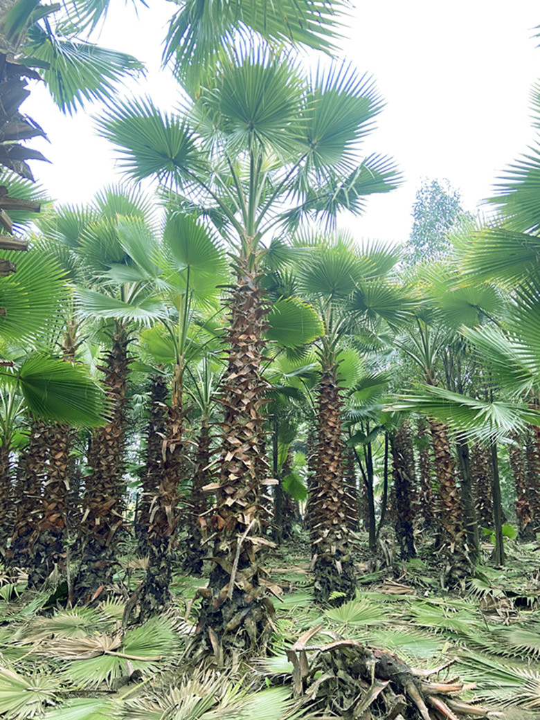 ˿Aءr(ji)񡢻ءĴo˿ؑc˿