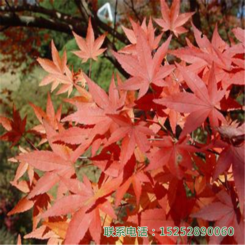 uצе^pֲ҃@־Gľ