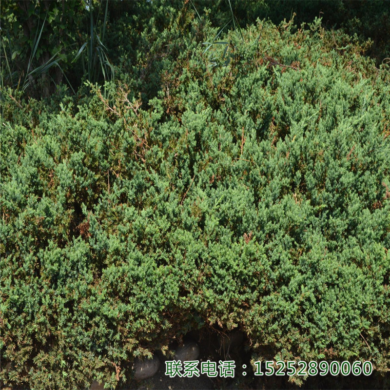 䁵ذذС瘶҃(ni)辰ͥԺG^b