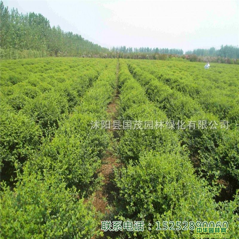 С~ŮؑС~ŮؑСļL^~NANֲGSG