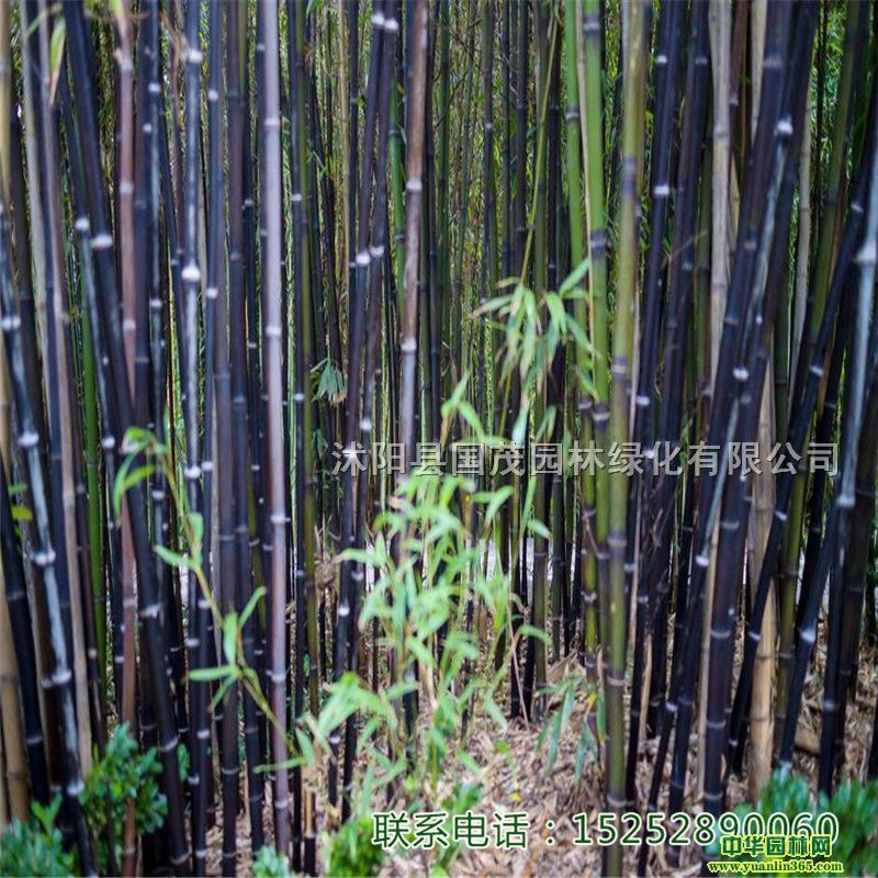 īСͥԺɽʯ@־^^pNL^н^@