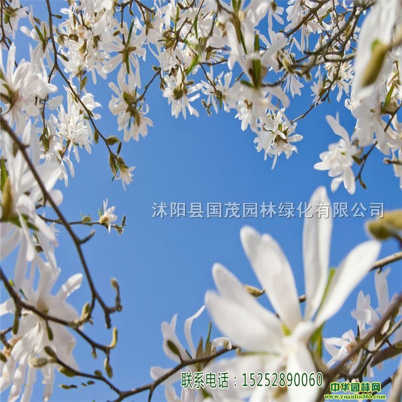 m(sh)mС(sh)@־^GͥԺ·߅SVе(sh)