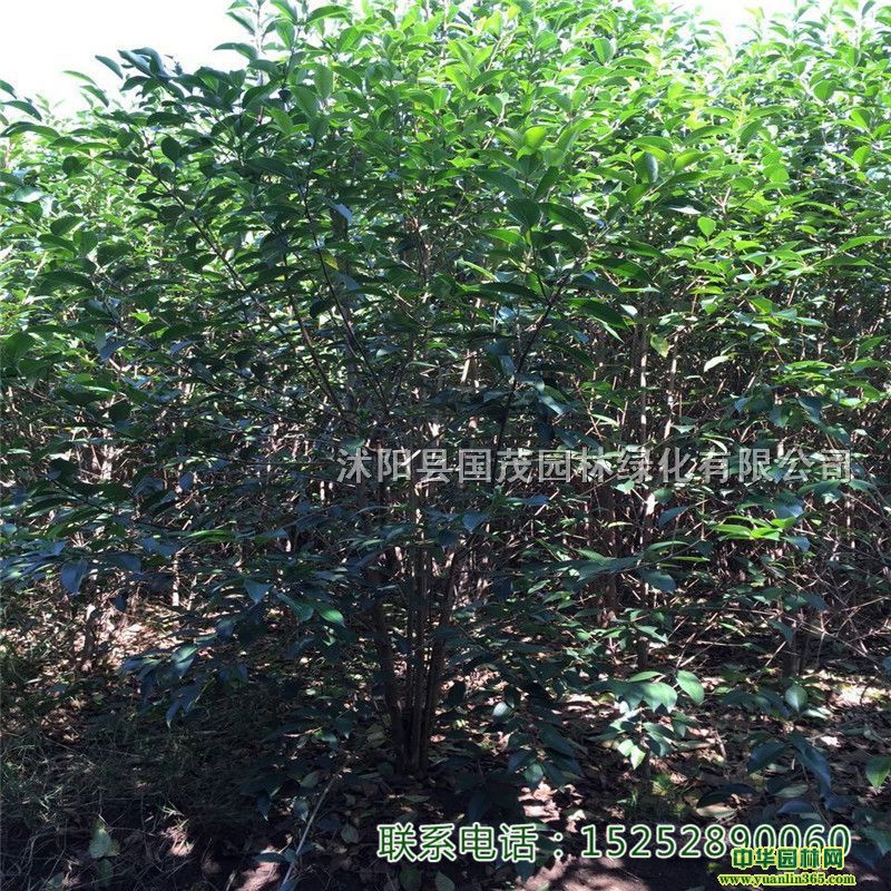 ~ŮؑСС(sh)ļGͥԺ߻hе(sh)@·(sh)Gľ