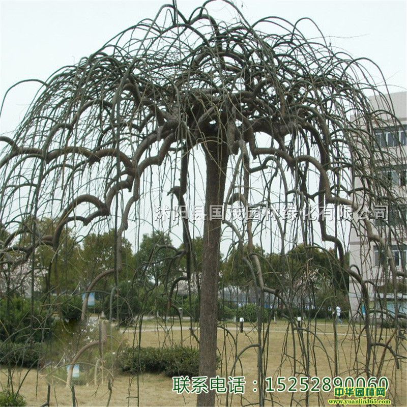 a(chn)צ޽С硢P䡢Ҏ(gu)|(zh)