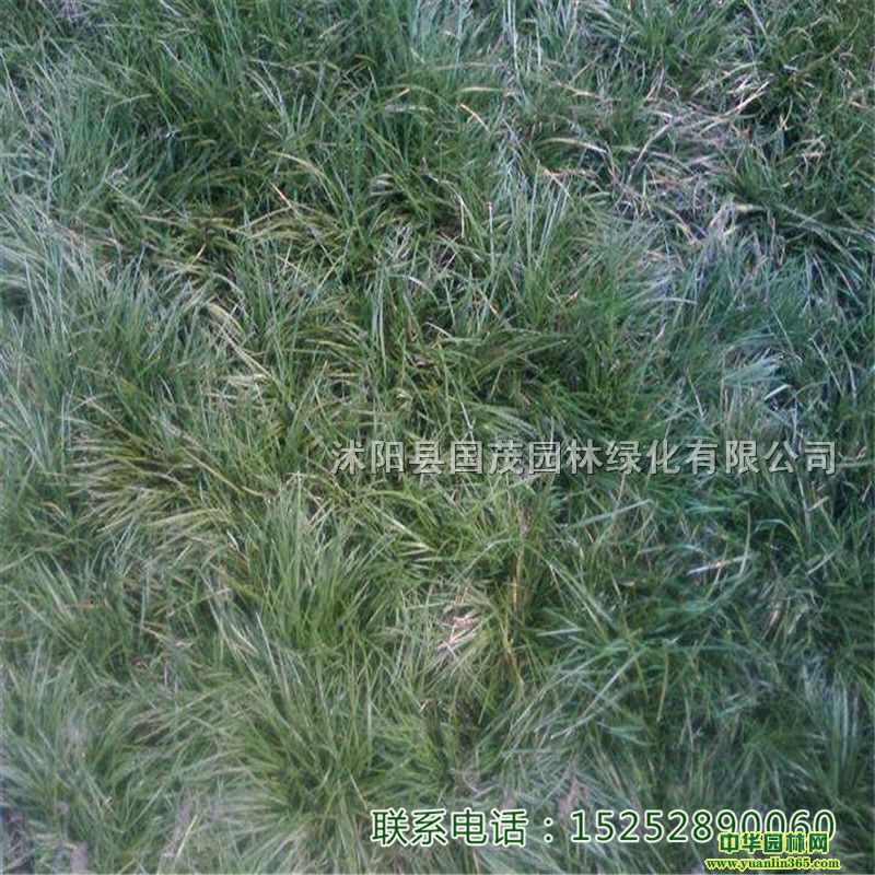 Ҏ(gu)ȫ~С~رֲr(ji)(yu)ݡ|(zh)