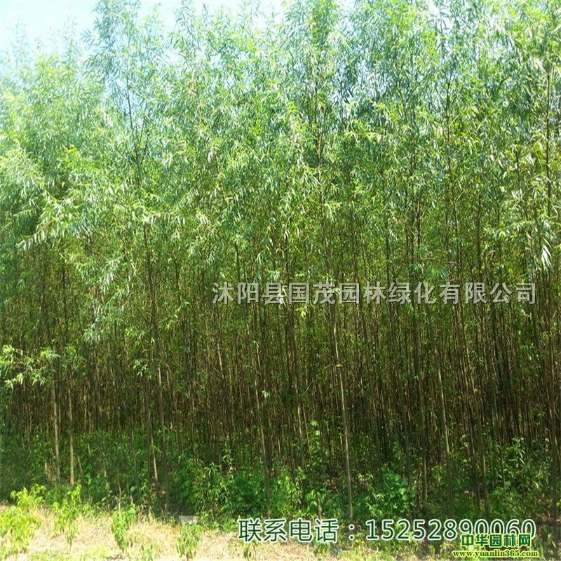 ذl(f)؛Ʒ|(zh)Ҏ(gu)ȫ