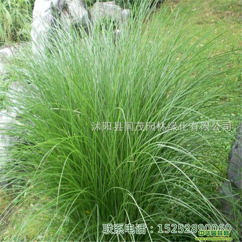 ~â@^pͥԺС^·ֵGaͺɽر