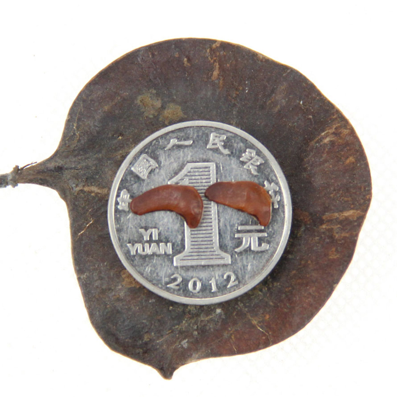 ӡ̴ľNӡľľݻݷNѡlѿʸ