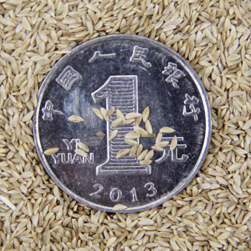 WļƺNӻľľݻƺˎĹNѰlѿ