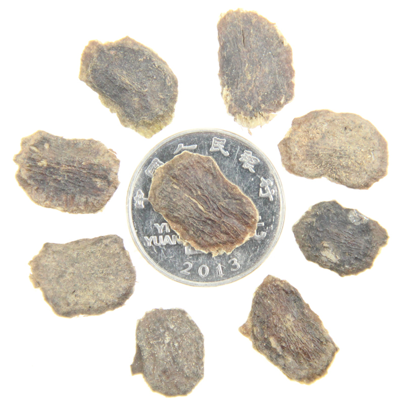 SNӻľľݻƺˎĹNѰlѿʸ