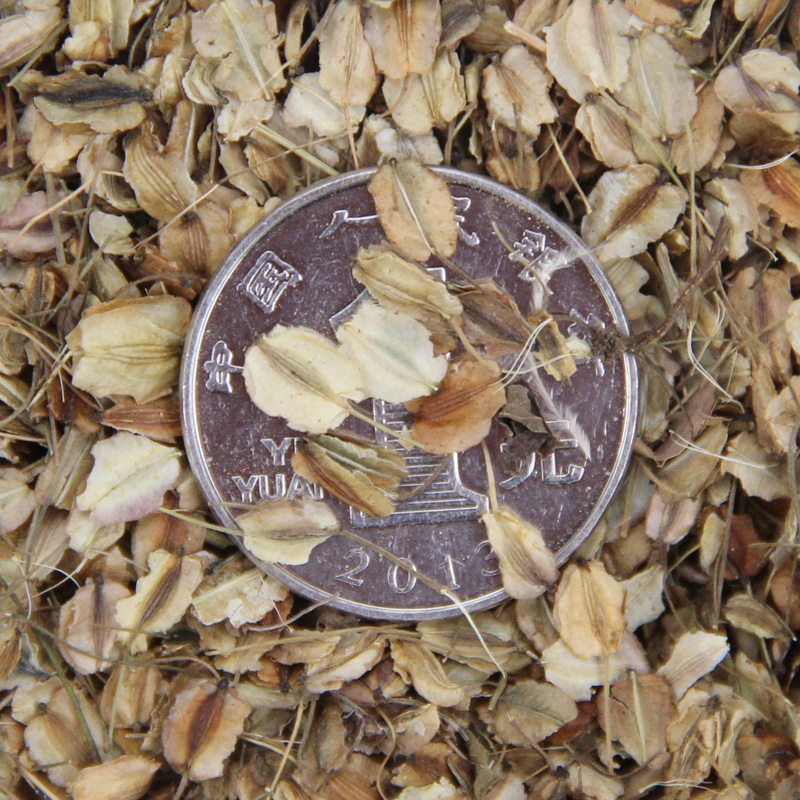 wNӻľľݻˎĹNѰlѿʸ